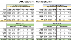 GNMLS_YTD_Nov2025